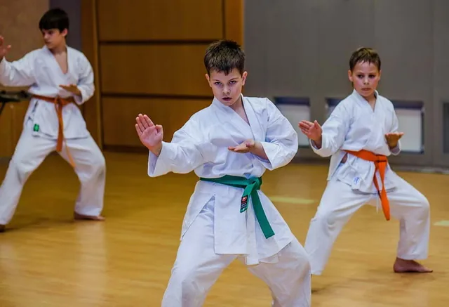 Атари — фото