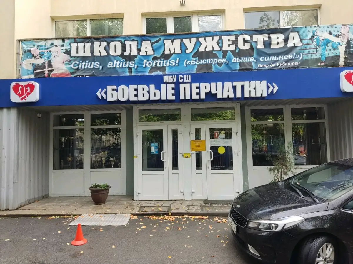 Боевые перчатки