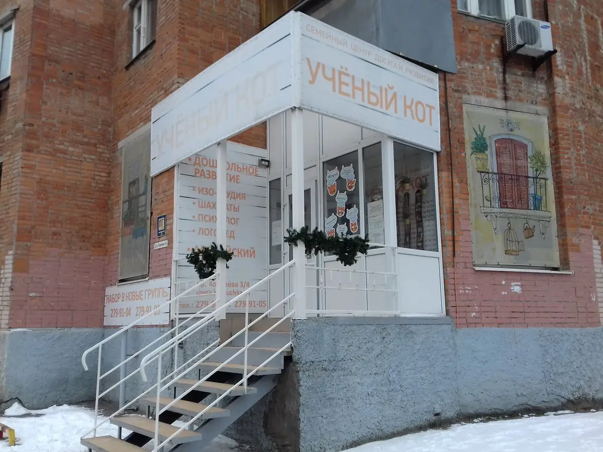 Учёный кот