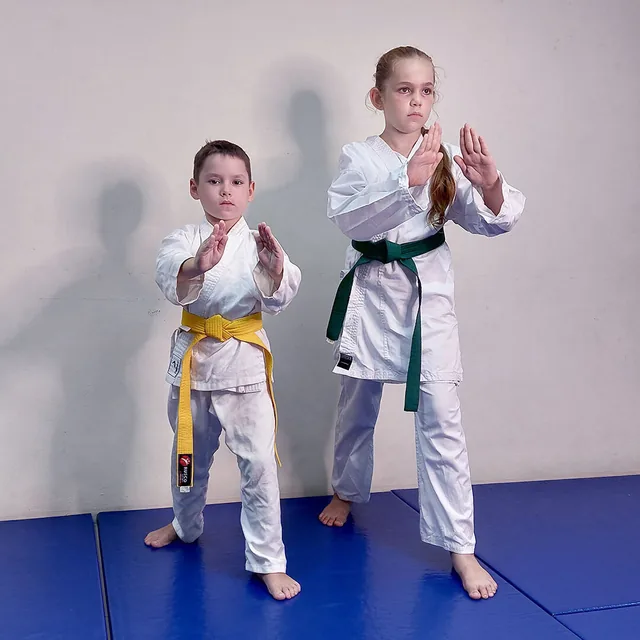 Прикладное Айкидо Динамика