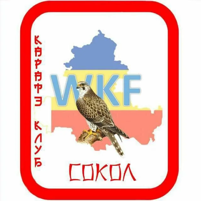 Сокол на ул. Еляна, 68