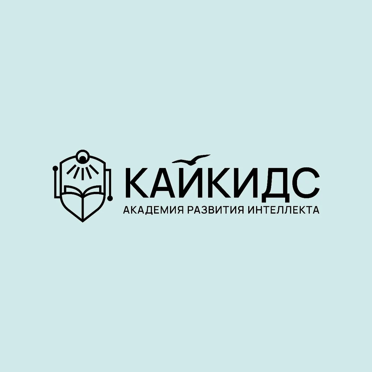 КайКидс