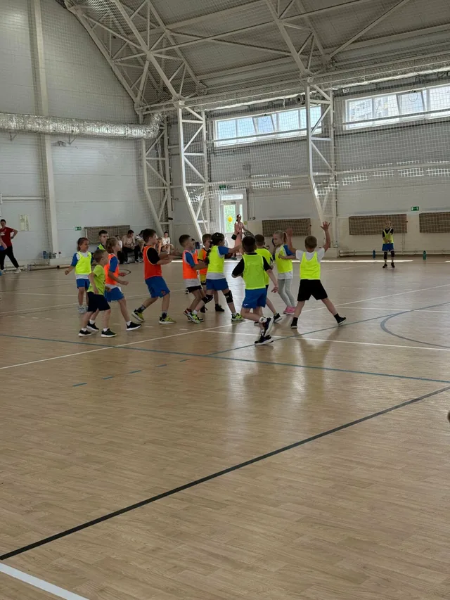 Академия гандбола Skyball